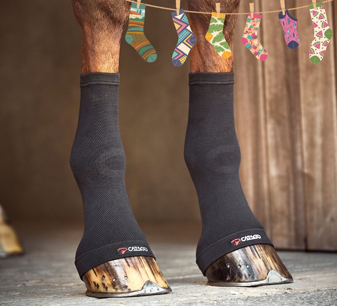 Calze per cavalli Fir Tech Natural Horse Point