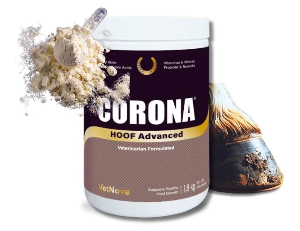 Corona Hoof Advanced