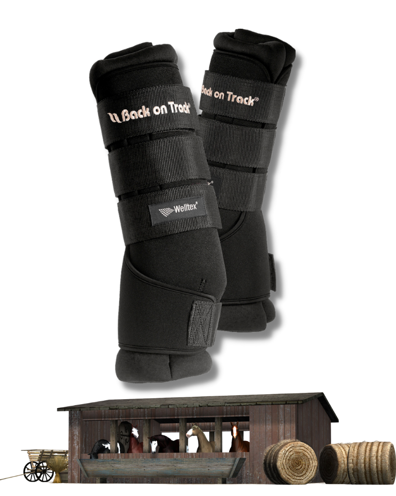 Stable Boots Royal con tecnologia Welltex®