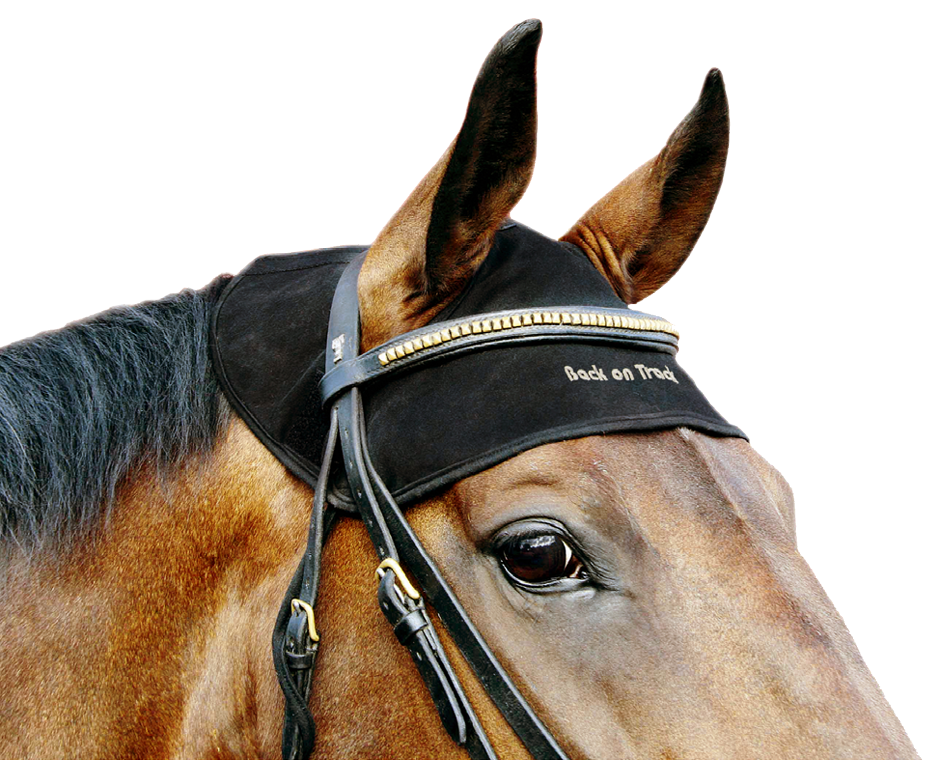 Track Horse Head Cover