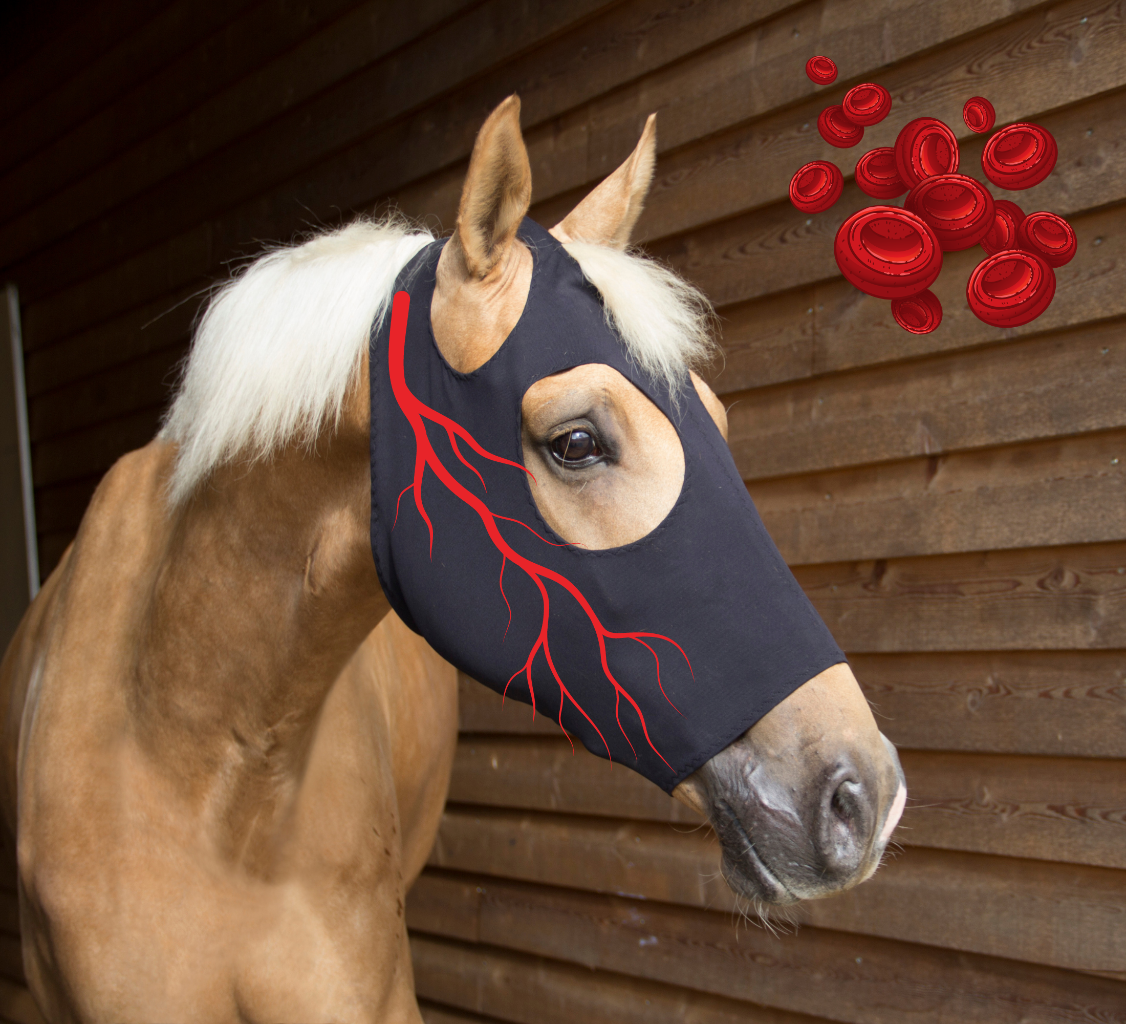 Maschera Antimosche Per Cavalli In Titanio Elasticizzato E Traspirante - Foto 1