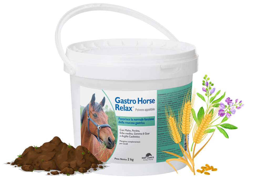 Gastro Horse Relax