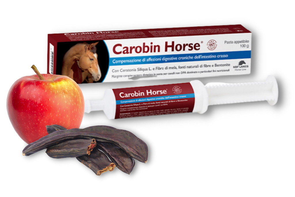 Carobin Horse