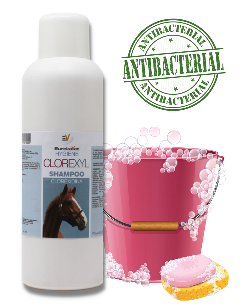 Shampoo igienizzante per cavalli e cani