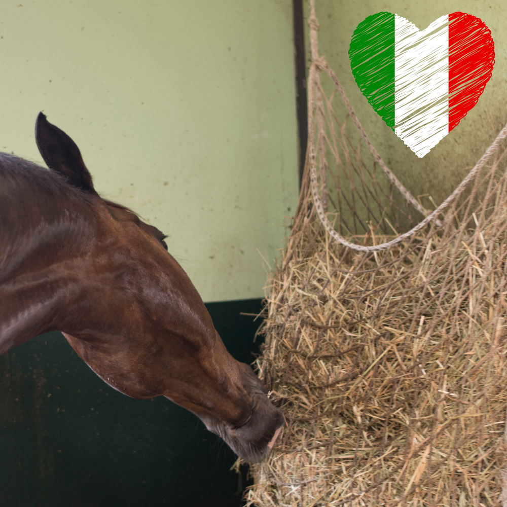 Perché usare le reti per fieno slow feeder