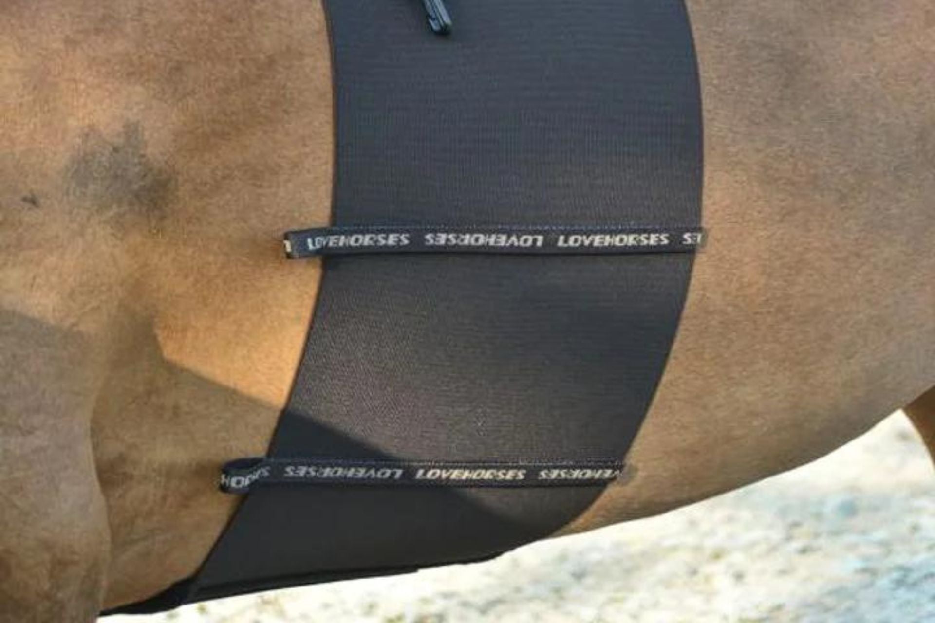 Fascia Per Sopracciglia Per Cavalli In Paracord - Vari Colori O Personalizzabile