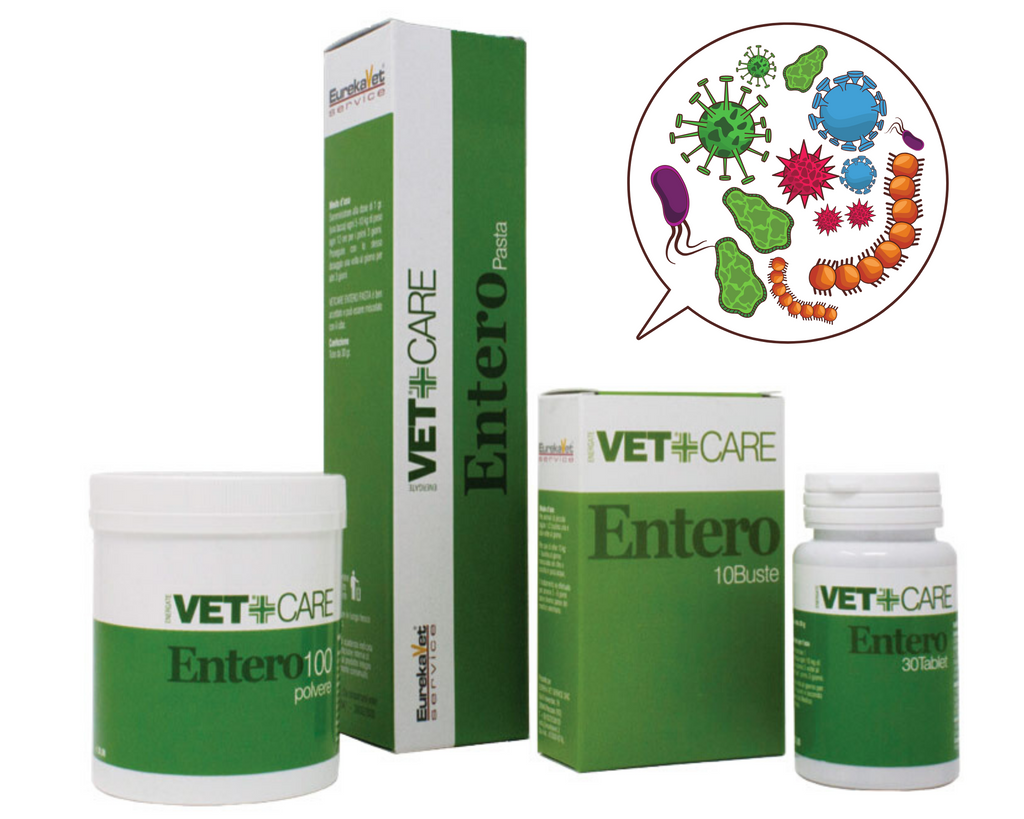 VetCare Entero - Fermenti lattici & Probiotici