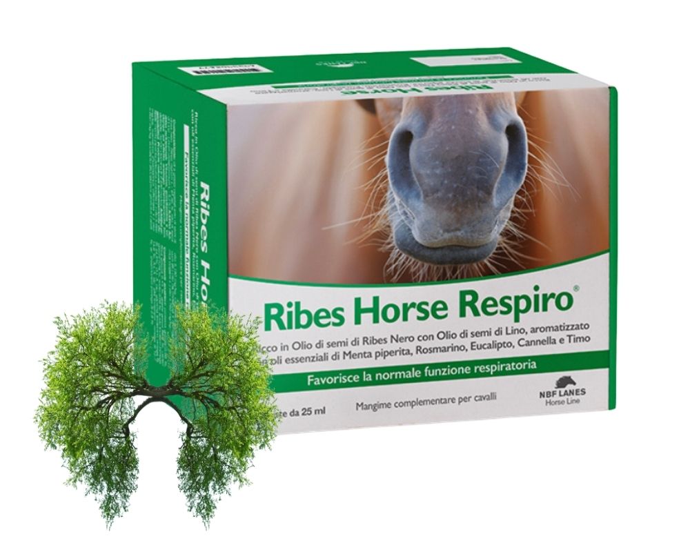 Ribes Horse Respiro